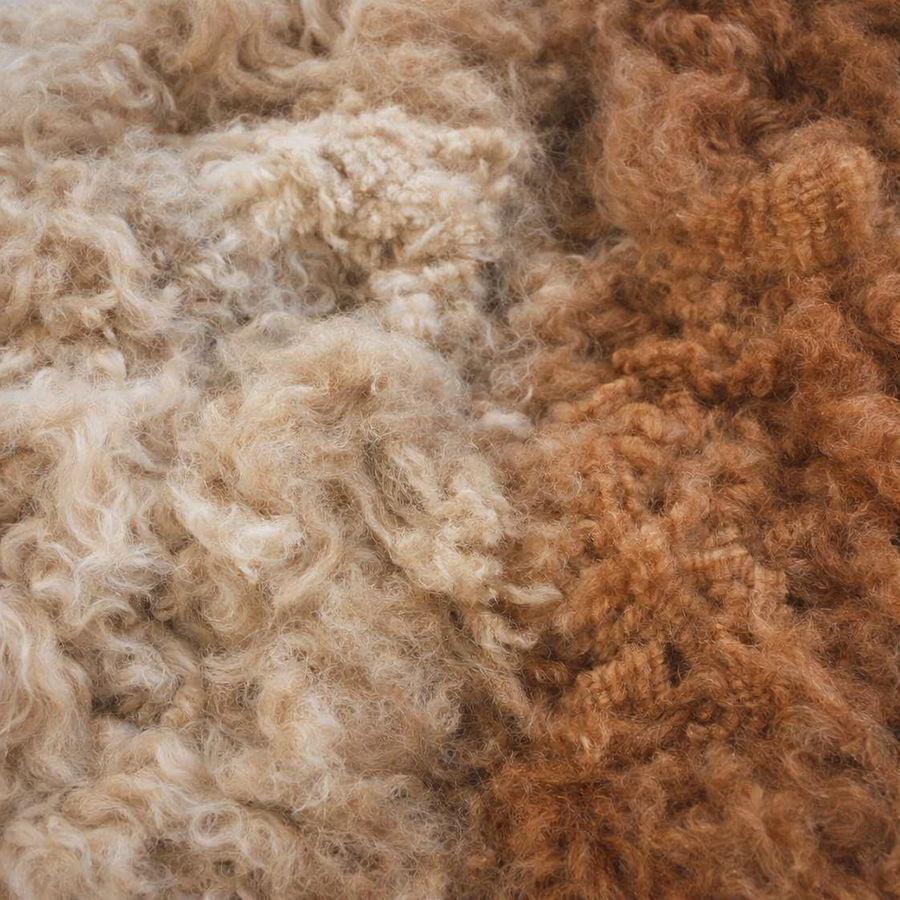 Alpaca