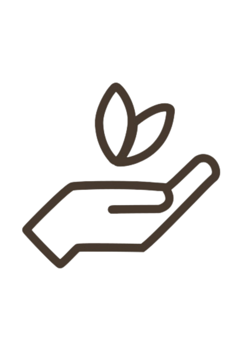 Eco-Friendly Rugs at Living Well Interiors Durban South Africa